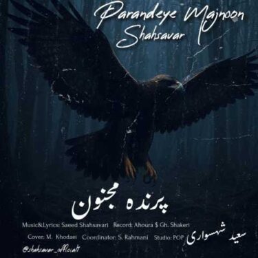 دانلود آهنگ جدید سعید شهسواری (شهسوار) پرنده مجنون
