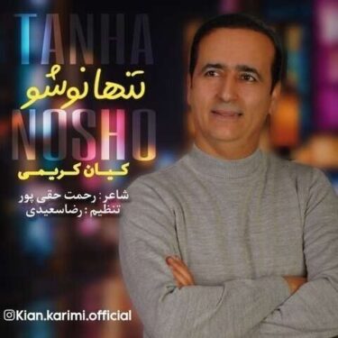 دانلود آهنگ جدید کیان کریمی تنها نوشو