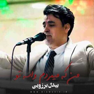 فول آلبوم بیدل برزویی