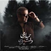 دانلود آهنگ جدید و عاشقانه حمید لازمی دلسپرده
