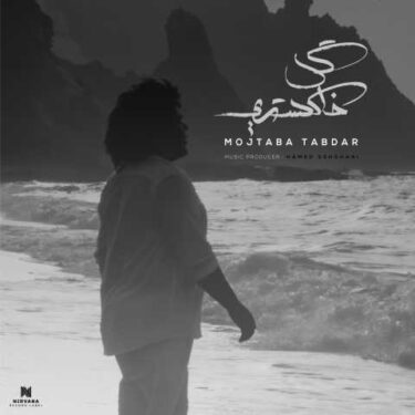 دانلود آهنگ جدید مجتبی تابدار گل خاکستری