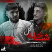 دانلود آهنگ جدید ناصر نادری و تاراج شاخه گل