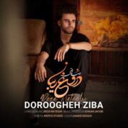 دانلود آهنگ جدید رضا ناطقی دروغ زیبا