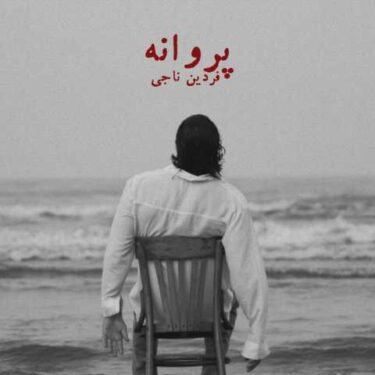 دانلود آهنگ جدید فردین ناجی پروانه