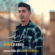 دانلود آهنگ جدید هادی زارعی بی احساس