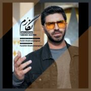 دانلود آهنگ جدید مهدی متینی نگارم