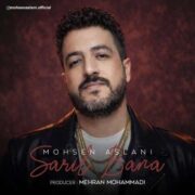 دانلود آهنگ جدید محسن اصلانی ساریل بانا