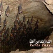 دانلود آهنگ جدید کاوه ژاو بند رخت بی انتها (بیکلام)