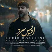 دانلود آهنگ جدید سعید حسینی افسوس سرد