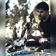 دانلود آهنگ جدید علی محرمی خداحافظ