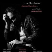 دانلود آهنگ جدید علیرضا جوادی بخواب آروم گل من