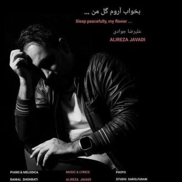دانلود آهنگ جدید علیرضا جوادی بخواب آروم گل من