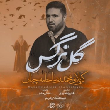 دانلود آهنگ جدید محمدرضا خامه چیان گل نرگس