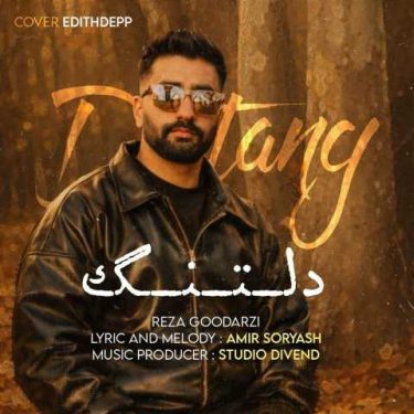 دانلود آهنگ جدید رضا گودرزی دلتنگ