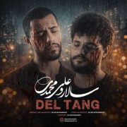 آهنگ سالار و علی محمدی دل تنگ