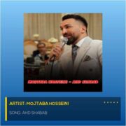 دانلود آهنگ جدید مجتبی حسینی عهد شباب