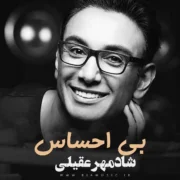 دانلود آهنگ بی احساس شادمهر عقیلی
