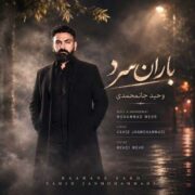 دانلود آهنگ جدید وحید جان محمدی باران سرد