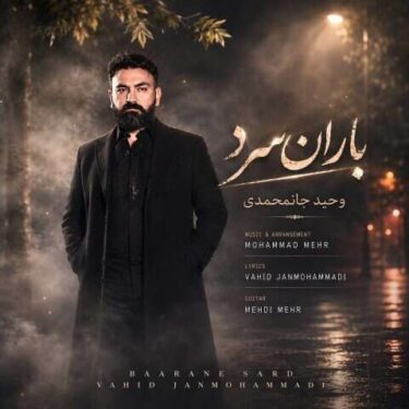 دانلود آهنگ جدید وحید جان محمدی باران سرد