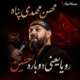 محسن محمدی پناه