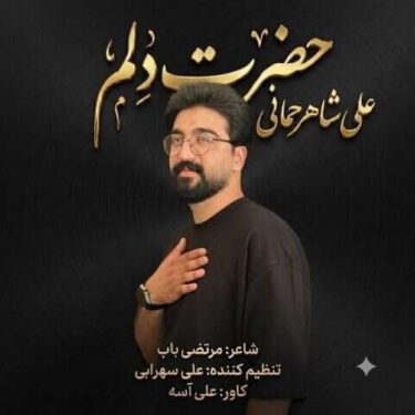 دانلود آهنگ جدید علی شاهرحمانی حضرت دلم