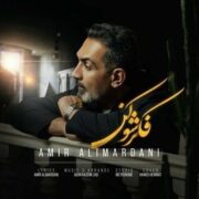 آهنگ امیر علیمردانی فکرشو کن