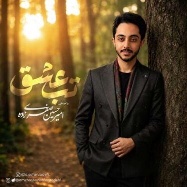 دانلود آهنگ جدید امیرحسین صفری زاده تب عشق
