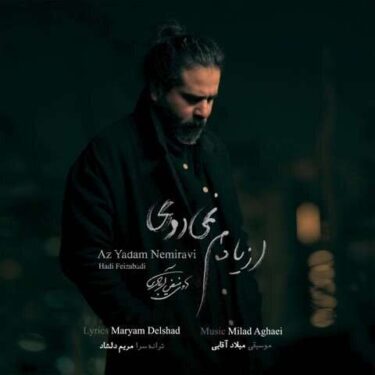 دانلود آهنگ جدید هادی فیض آبادی از یادم نمی روی