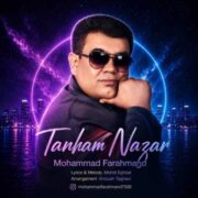 دانلود آهنگ جدید محمد فرهمند تنهام نزار