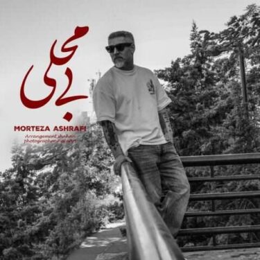 دانلود آهنگ جدید مرتضی اشرفی بی محلی