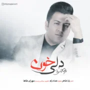 دانلود آهنگ جدید پویا بیاتی دلی خون