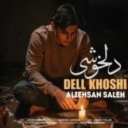 دانلود آهنگ جدید علی احسان صالح نام دلخوشی (ورژن جدید)