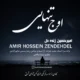 دانلود آهنگ جدید امیرحسین زنده اوج تنهایی