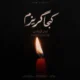 آرمان گرشاسبی