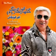 دانلود آلبوم گلپا به نام گلهای رنگارنگ 6