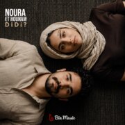 دانلود آهنگ جدید هونام دیدی
