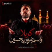 دانلود مداحی محمد حسین پویانفر کربلا واسم ضروریه حسین