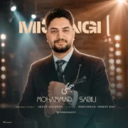 دانلود آهنگ جدید محمد سبیلی میجنگی