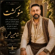 دانلود آهنگ جدید شاهین شمس منو کشت