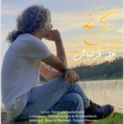 دانلود آهنگ جدید علی قزلباش گرنج