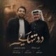 دانلود آهنگ جدید محمد زندوکیلی درد تنهایی