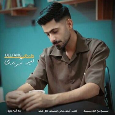 دانلود آهنگ جدید امیر شراری دلتنگی