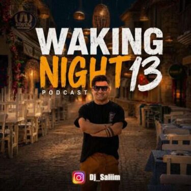 دانلود آهنگ جدید دیجی سلیم Waking Night 13