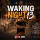 دانلود آهنگ جدید دیجی سلیم Waking Night 13