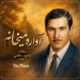 دانلود آهنگ آواره میخوانه داوود مقامی