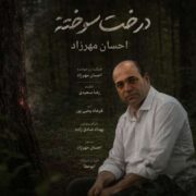 دانلود آهنگ جدید احسان مهرزاد درخت سوخته