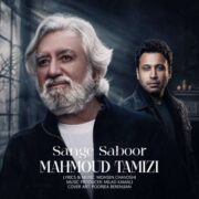 دانلود آهنگ جدید محمود تمیزی سنگ صبور