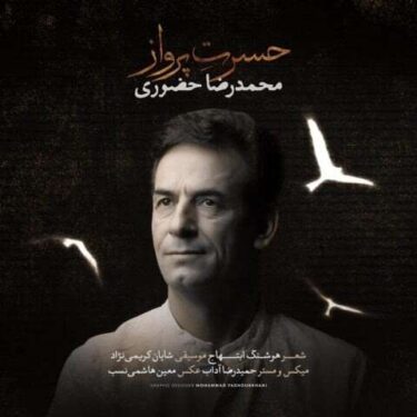 دانلود آهنگ جدید محمدرضا حضورى حسرت پرواز