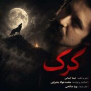 دانلود آهنگ جدید نیما ایمانی گرگ