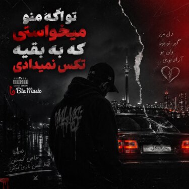 دانلود آهنگ تو اگه منو میخواستی به بقیه تکست نمیدادی رادی